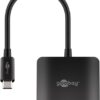 USM-C í 2x DisplayPort - 60171