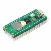 Raspberry Pi Pico WiFi, með pinnum - RPI-picoWH